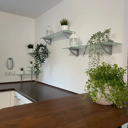 Deluxe Family Appartements Haem Freiburg im Breisgau Exterior foto