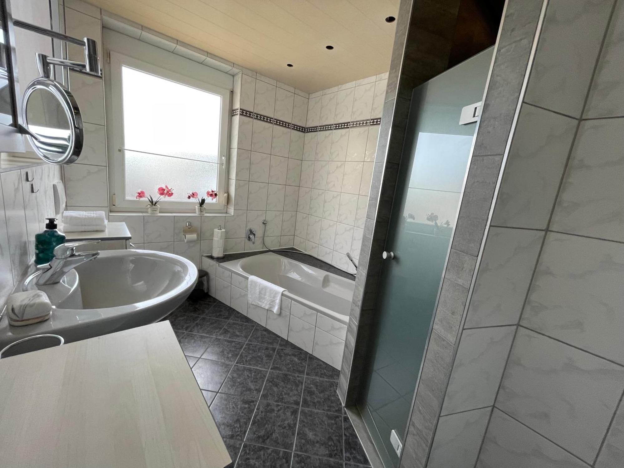 Deluxe Family Haem Freiburg im Breisgau